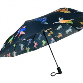 Tacsis esernyő többféle mintával